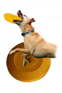 Hračka pes létající talíř Dr.Dog HARD 21cm  ŽLUTÝ