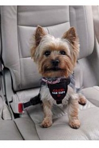 Postroj pes bezpečnostní do auta CLIX vel. S