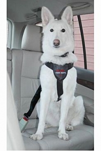 Postroj pes bezpečnostní do auta CLIX vel. L