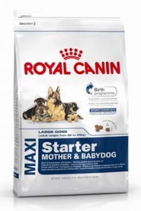 Royal canin Kom. Maxi Starter 4kg